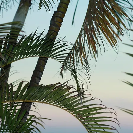 Villa única En Tenerife - Terraza, Jardin Y Vistas Al Océano *